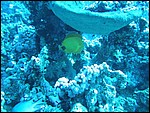 158-5830_IMG.JPG