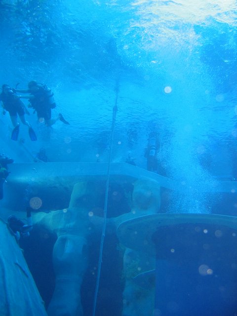 IMG_9070.JPG