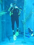 IMG_8995.JPG