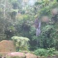 IMG_0039