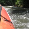 IMG_0066