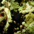 20171028-8Schnecke