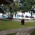2018-10-14-10Pool