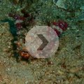 2018-10-21-13Walkmann