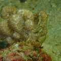 2018-10-21-14SolarPowerSchnecke