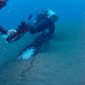 2018-10-26-13GebaenderterSeeaal
