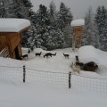 20190203_121607