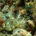 PB029806