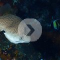 PB040154