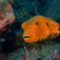 PB040198