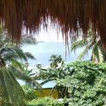 IMG_20231020_124244