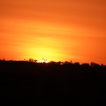 DSC00412