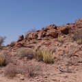 DSC00445