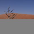 DSC00549
