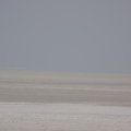 DSC01585