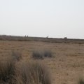 DSC01644