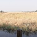 DSC02069