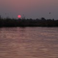 DSC02236