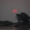 DSC02531
